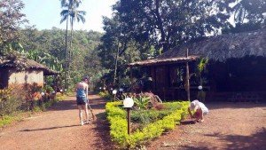 karmayoga-yoga-meditation-retreat-ashram-goa-india-swan