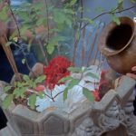 tulsi puja at swan yoga retreat India